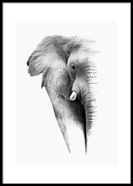 Faded Elephant Poster