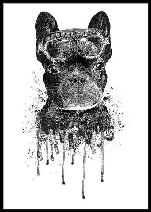 Aeronaut Poster
