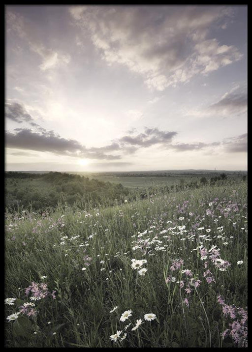 Paysage de prairie Affiche