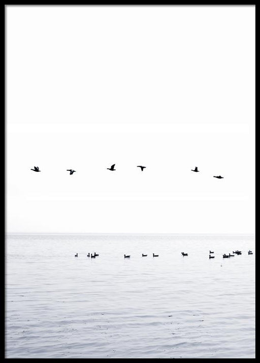 Birds Poster