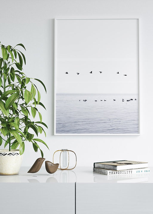Birds Poster