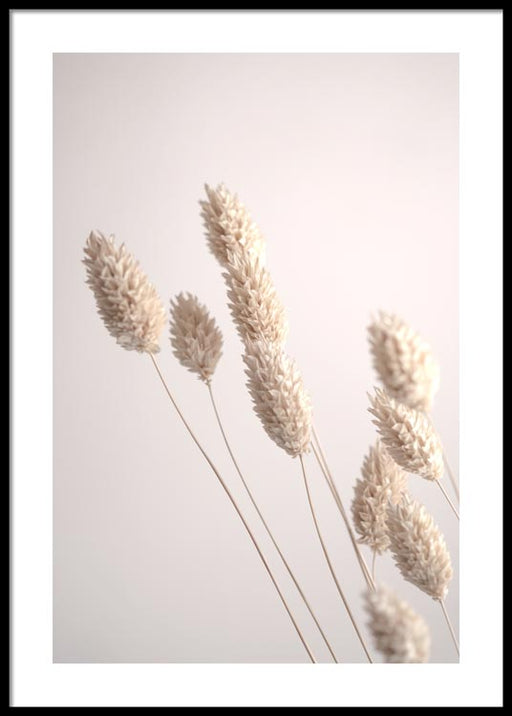 Herbe séchée Affiche