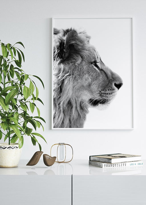Lion Portrait Affiche