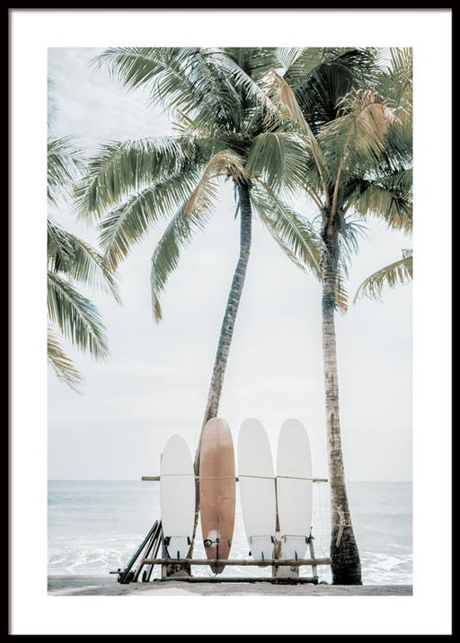 Planches de surf Affiche