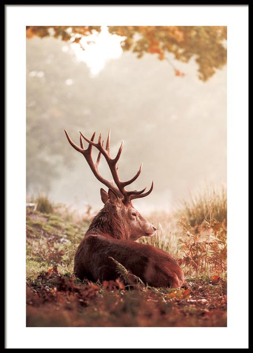 Red Deer Poster