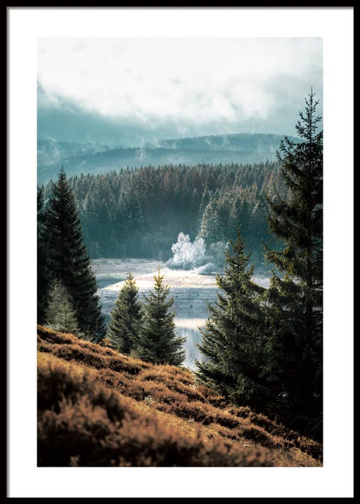 Wilderness Poster