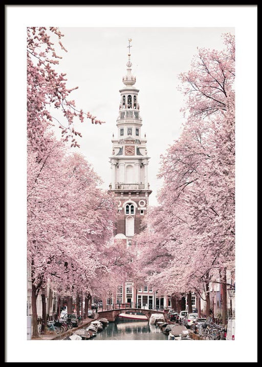 Amsterdam Blossom Poster