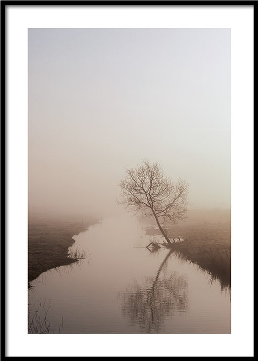 Morning Fog Poster