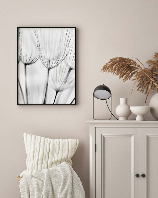Dandelion Florets Poster