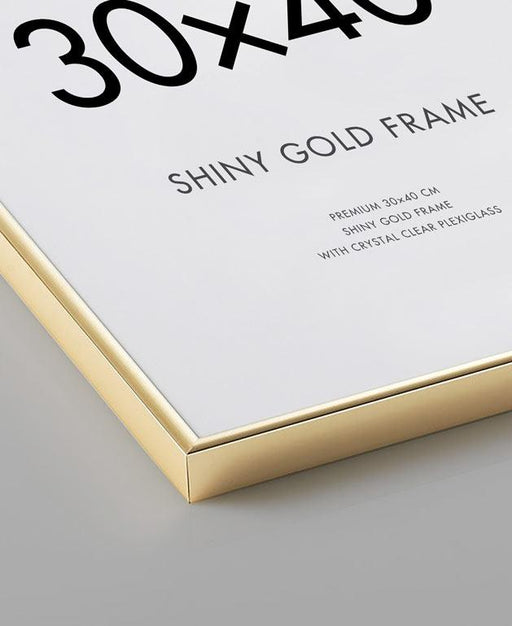 Goldrahmen 50x70
