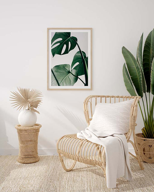 Feuilles de Monstera Affiche
