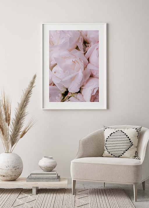 Fleur rose n°2 Affiche