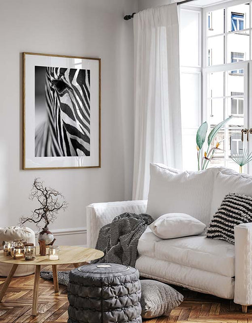 Zebra Poster