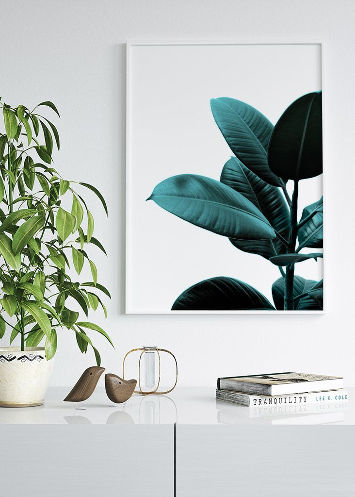 Green Ficus Plant Poster