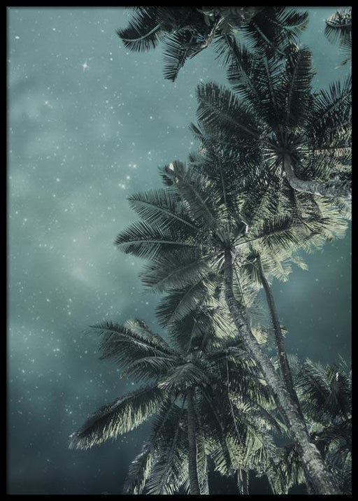 Tropical Night Sky No2 Poster