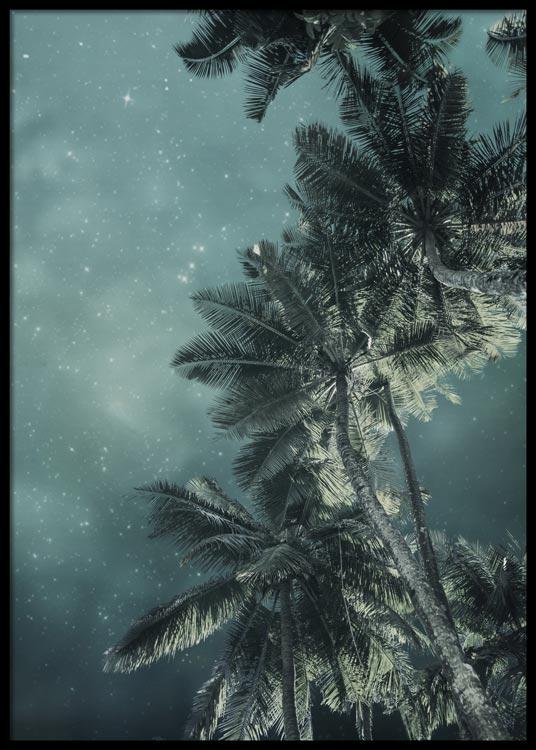 Ciel nocturne tropical n°2 Affiche