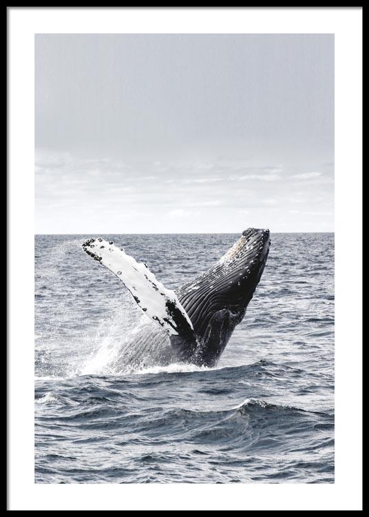 Flying Whale Poster