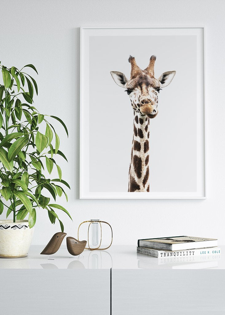 Bébé Girafe Affiche
