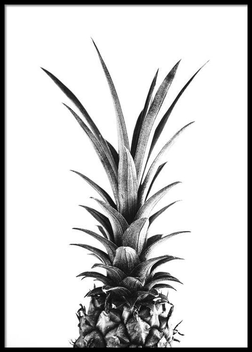 B&W Pineapple Top Poster