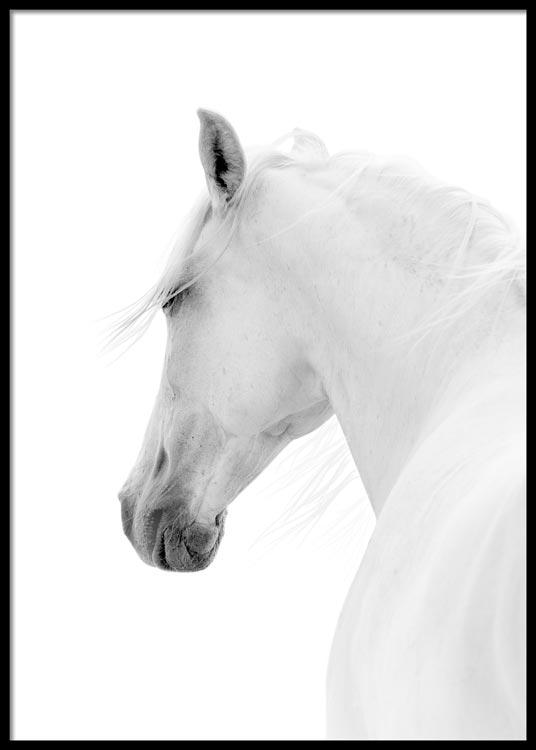 White Horse Poster
