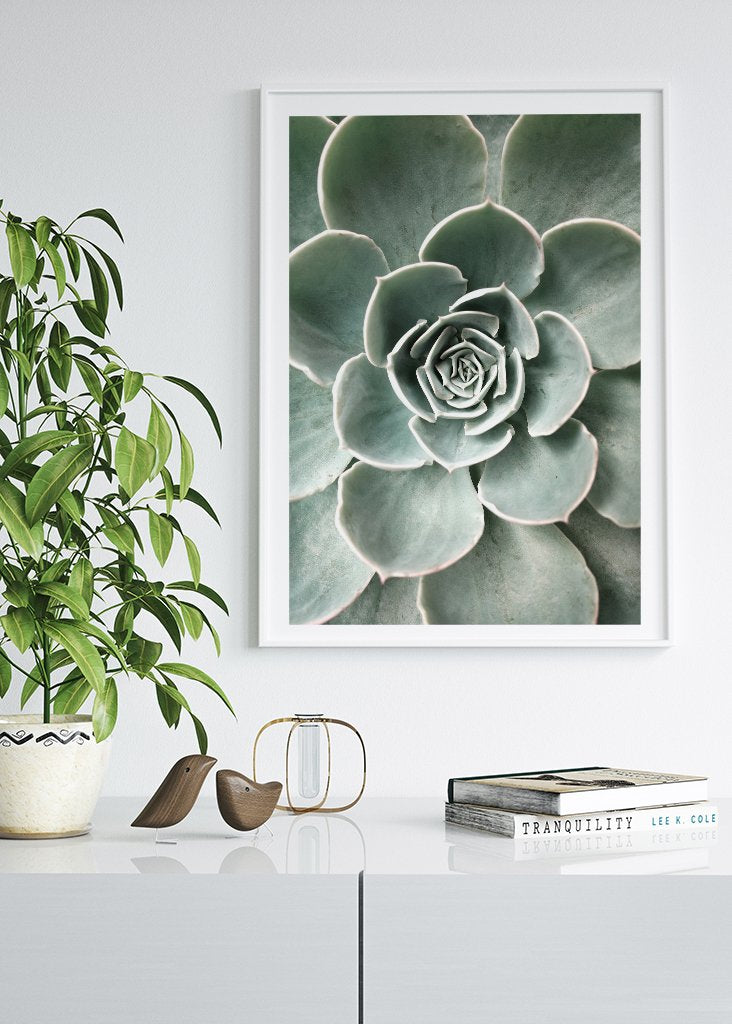 Cactus Flower Poster