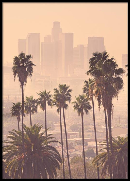 LA Palm Trees
