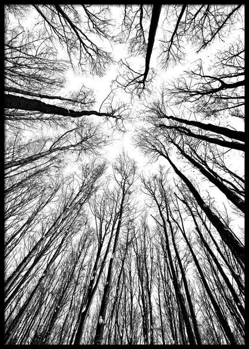 Over the Treetops Affiche