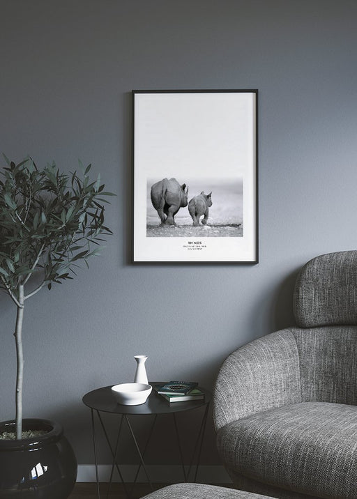Rhinos Poster