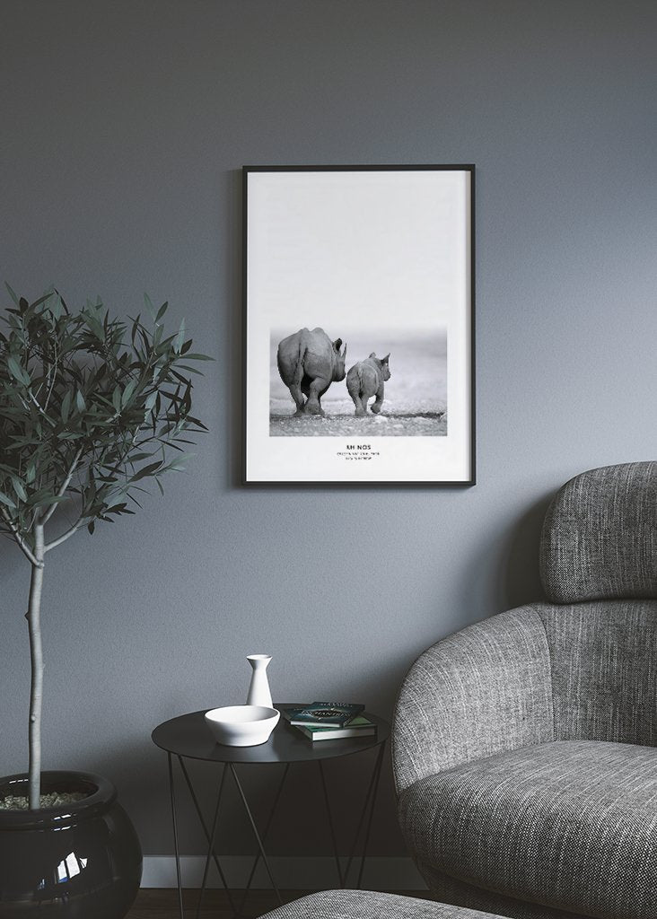 Rhinos Poster