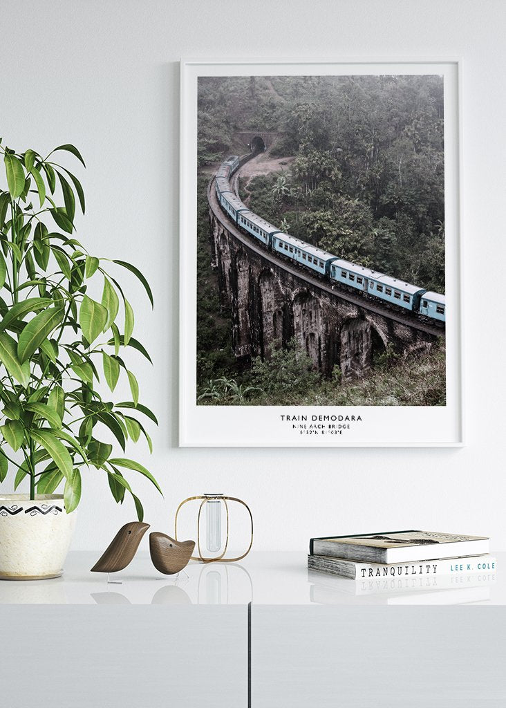 Train Demodara Affiche