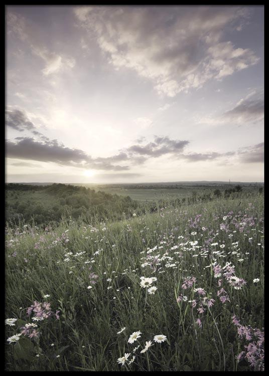 Meadow Landscape Poster
