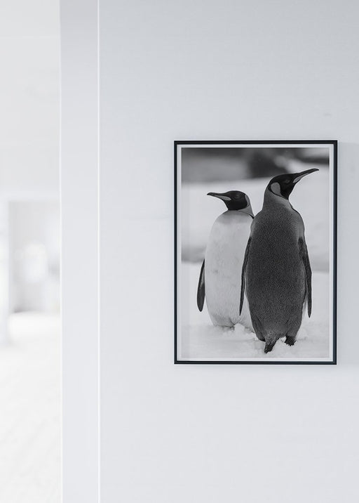 Penguins Poster