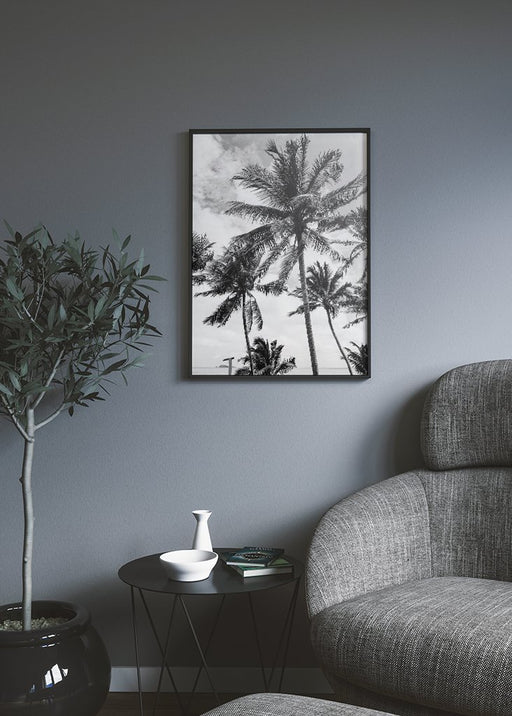 B&W Palm Trees Poster