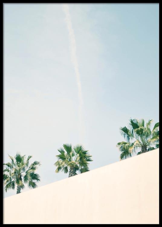 California Palm Trees Poster