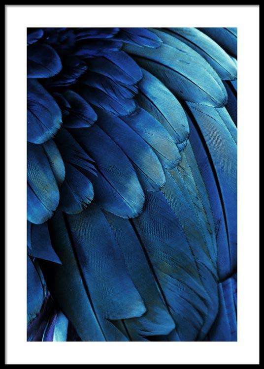 Deep Blue Feathers Poster