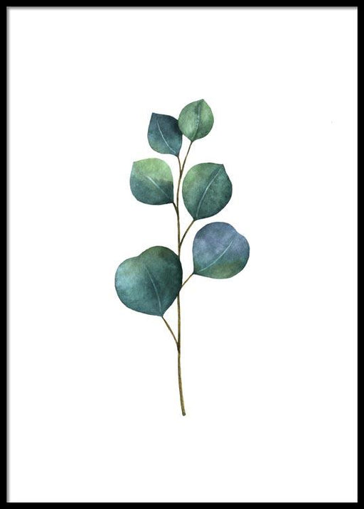 Eucalyptus Aquarelle Poster