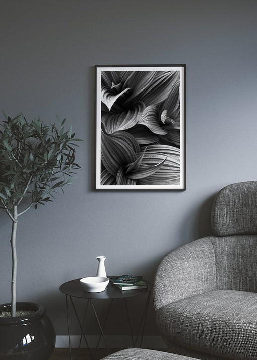Hellebore Leaves Poster