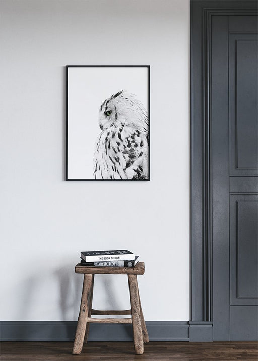 Owl Poster