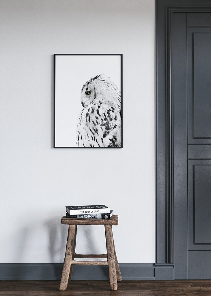 Owl Poster