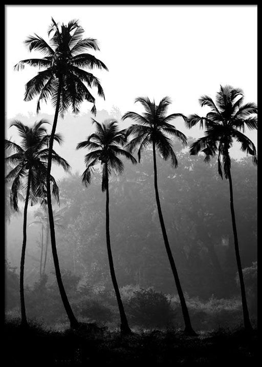 Palm Trees Poster