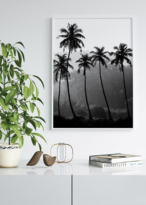 Palm Trees Poster