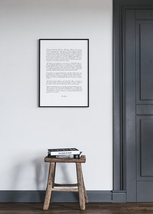 Pale Blue Dot Poster