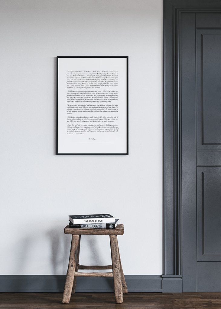 Pale Blue Dot Poster