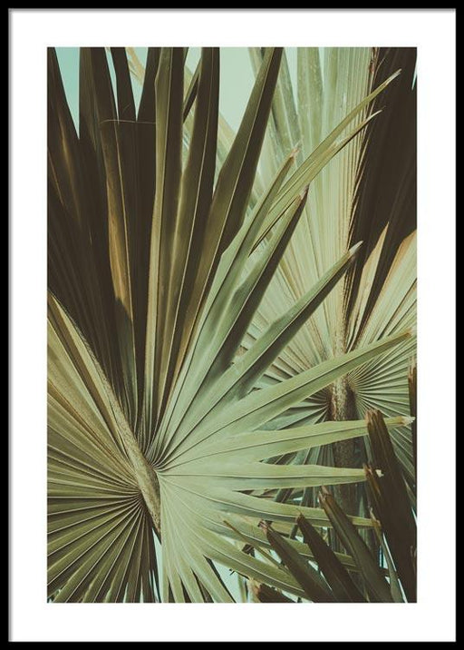 Vintage Tropics Poster
