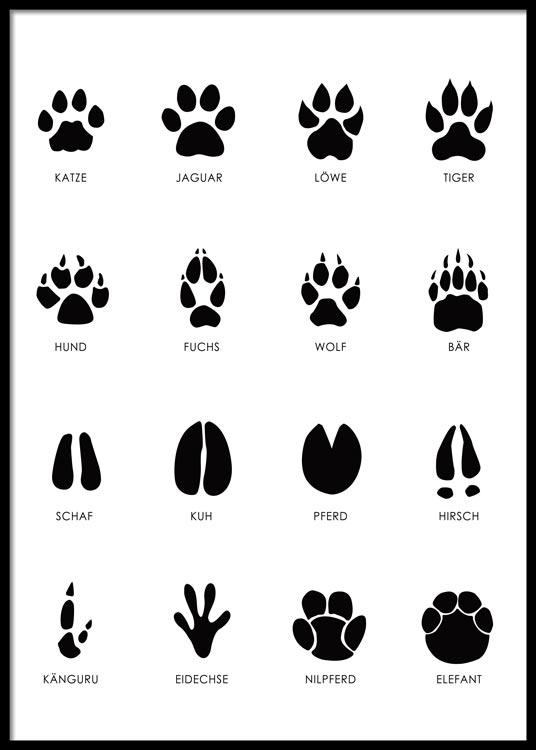 Tierspuren Poster