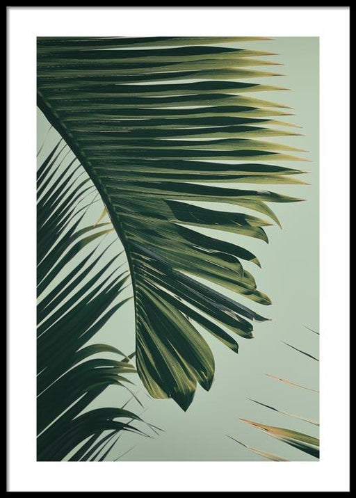 Palm Leaf No.1 Poster
