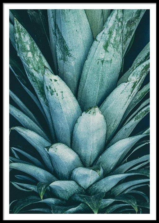 Pineapple Crown Poster
