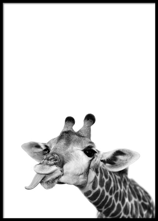 Funny Giraffe Poster