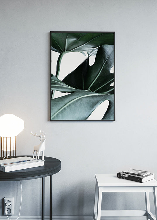 Monstera n°3 Affiche