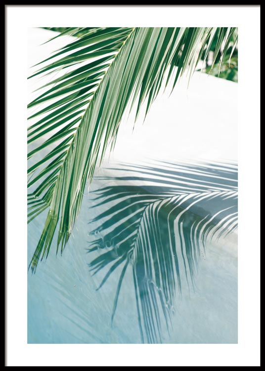 Feuille de palmier au bord de la piscine Affiche